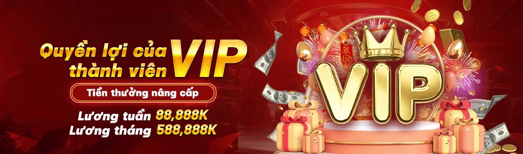 Cộng Đồng V8VIN – Diễn Đàn & Telegram Group